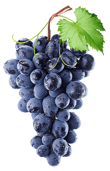 Concord Grapes