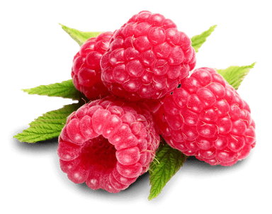 Raspberry